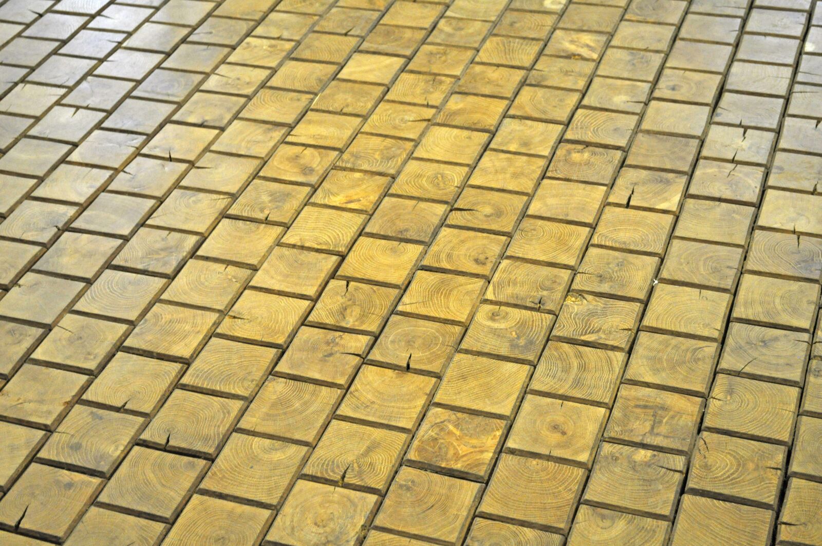 Nikon D5000 sample photo. Floor, paul, floor in photography