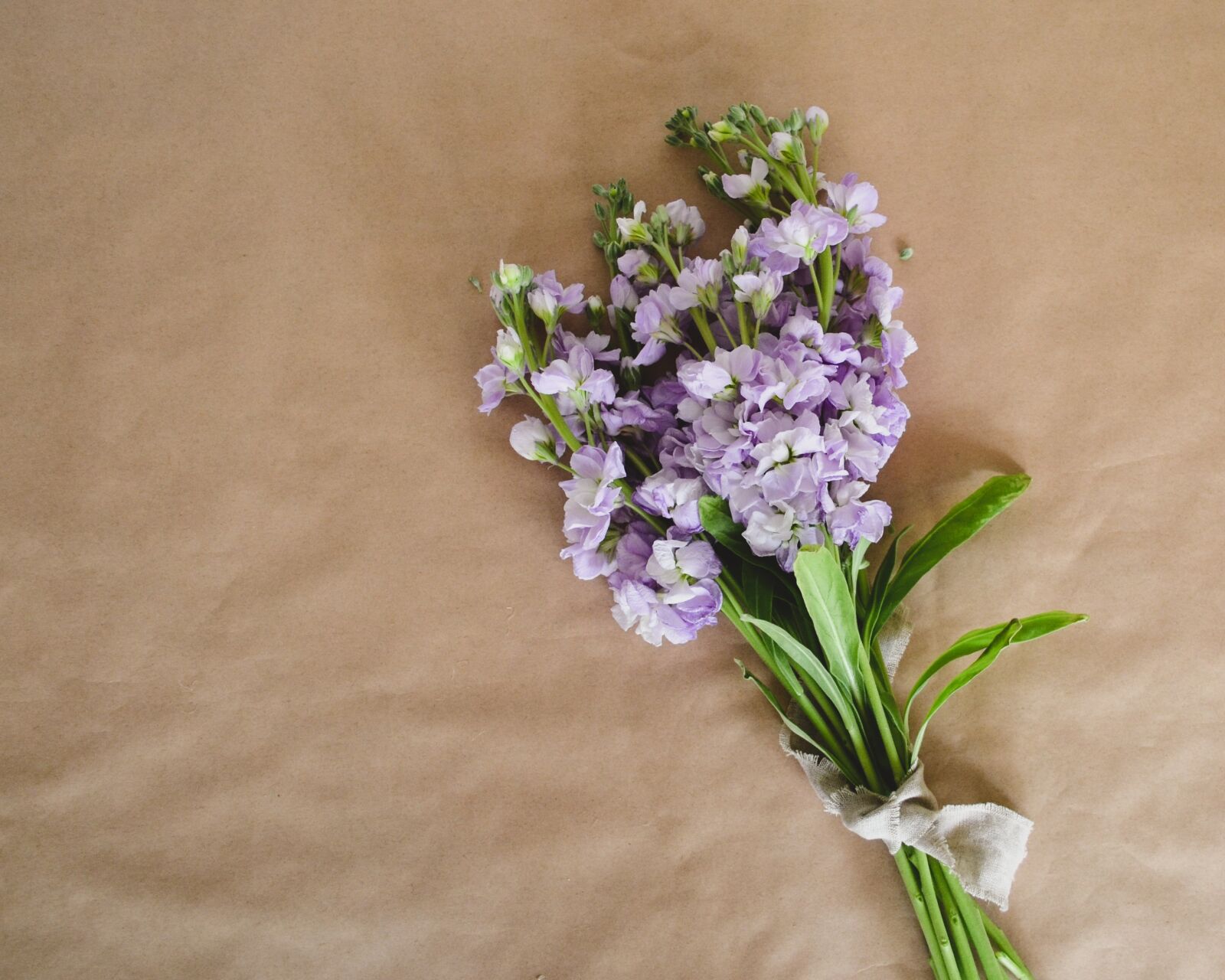 Nikon D5100 sample photo. Flowers, flatly, top photography
