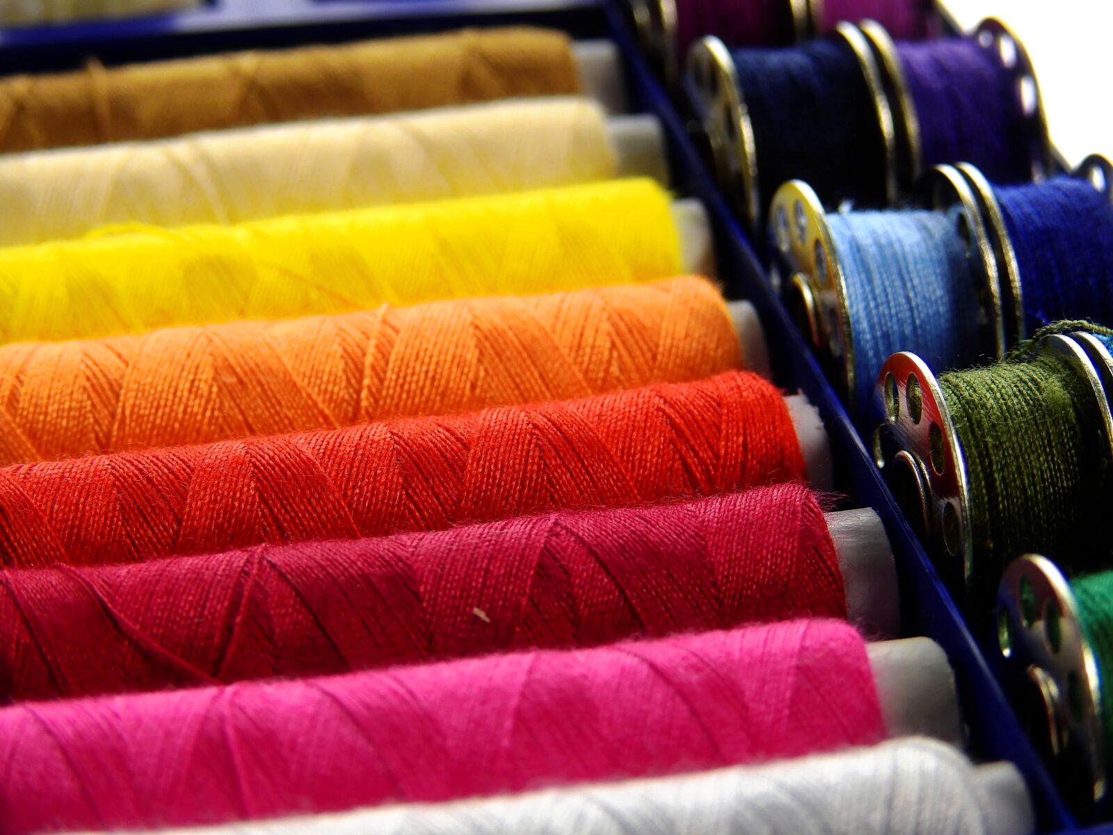 Nikon Coolpix P900 sample photo. Yarn, thread, sew photography
