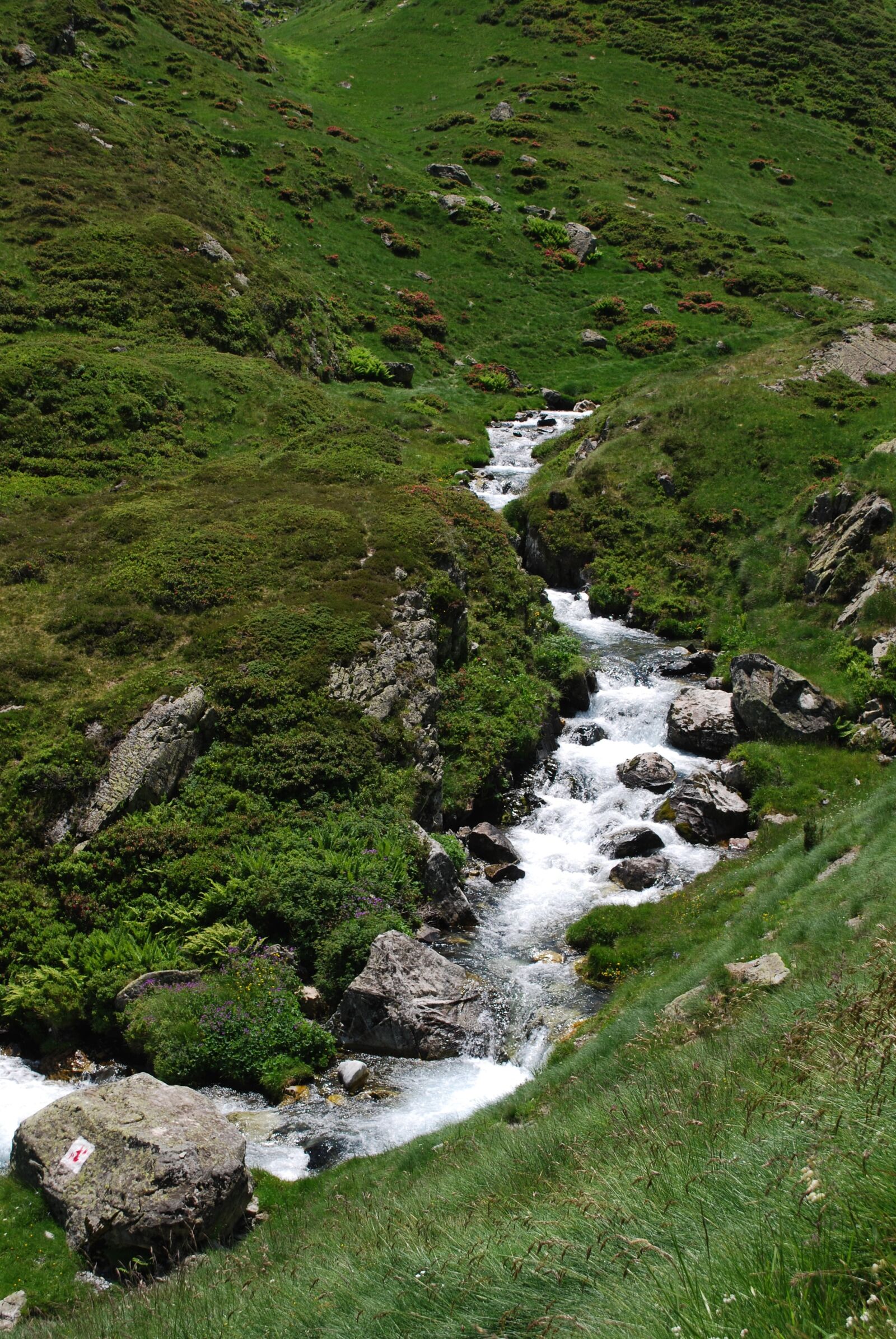 Nikon D60 sample photo. Pyr n es, mountain photography