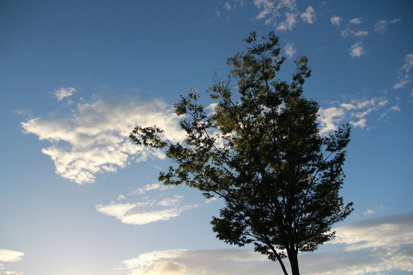 Canon EF-S 18-135mm F3.5-5.6 IS sample photo. Hiroki, japan, evening view photography