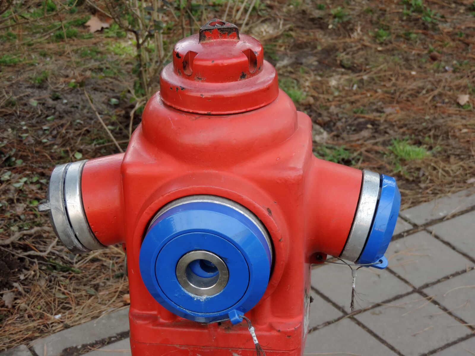 Nikon Coolpix P520 sample photo. Cast iron, hose, hydrant photography