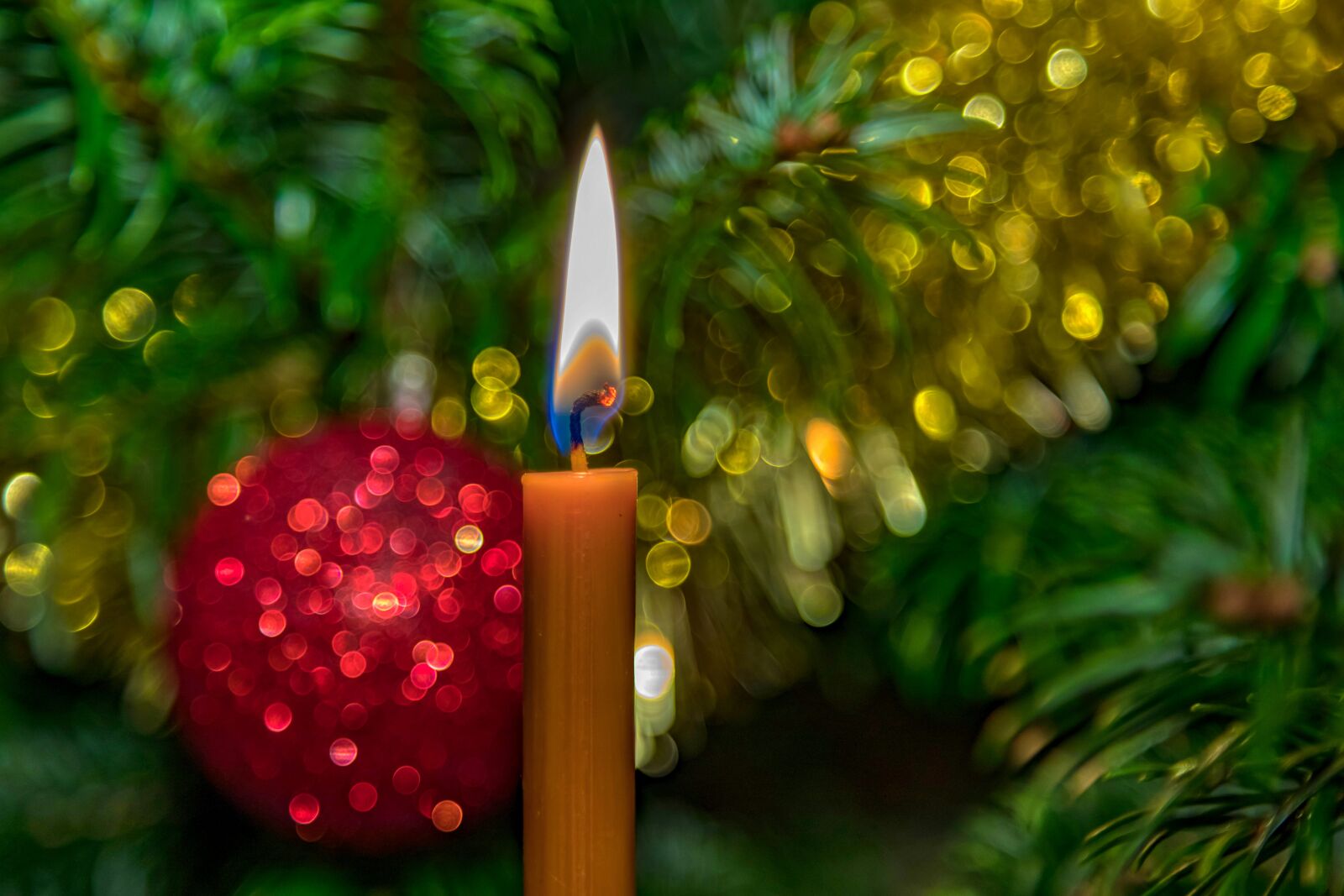 Canon EOS 5D Mark IV sample photo. Christmas, candle, decoration photography