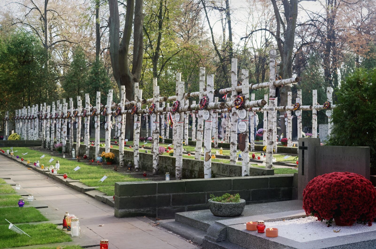 Nikon D3100 sample photo. Cross the wooden, cemetery photography
