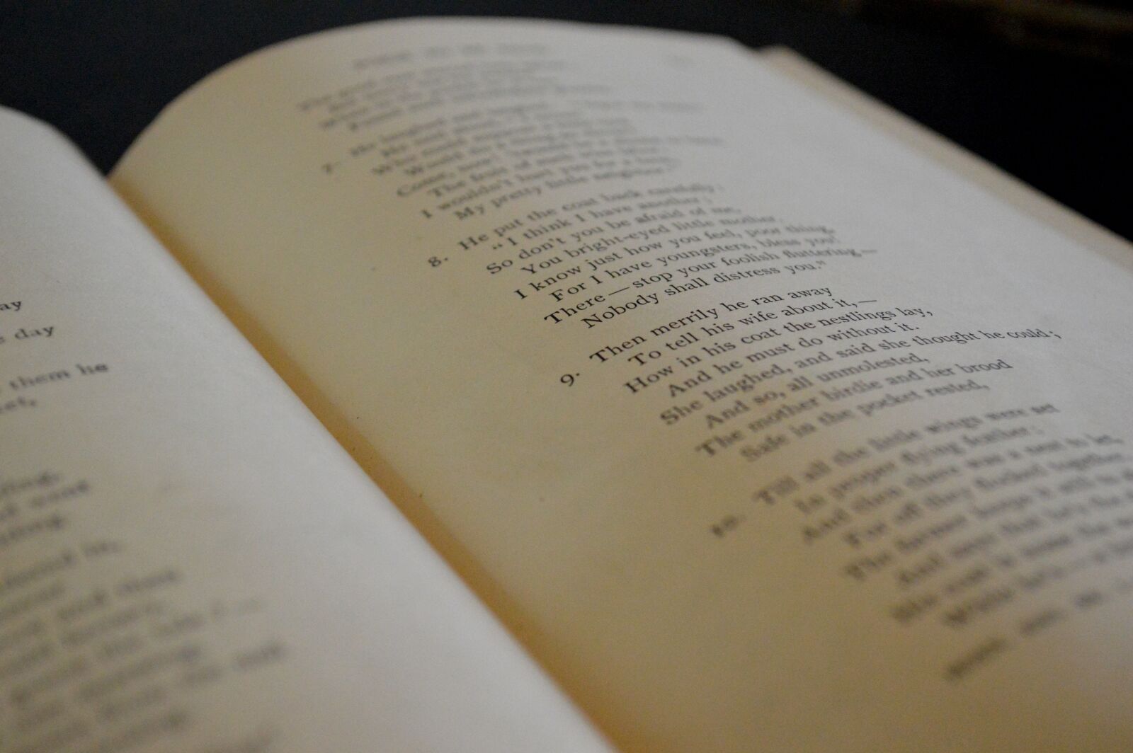 Nikon D3200 sample photo. Book, poem, poetry photography