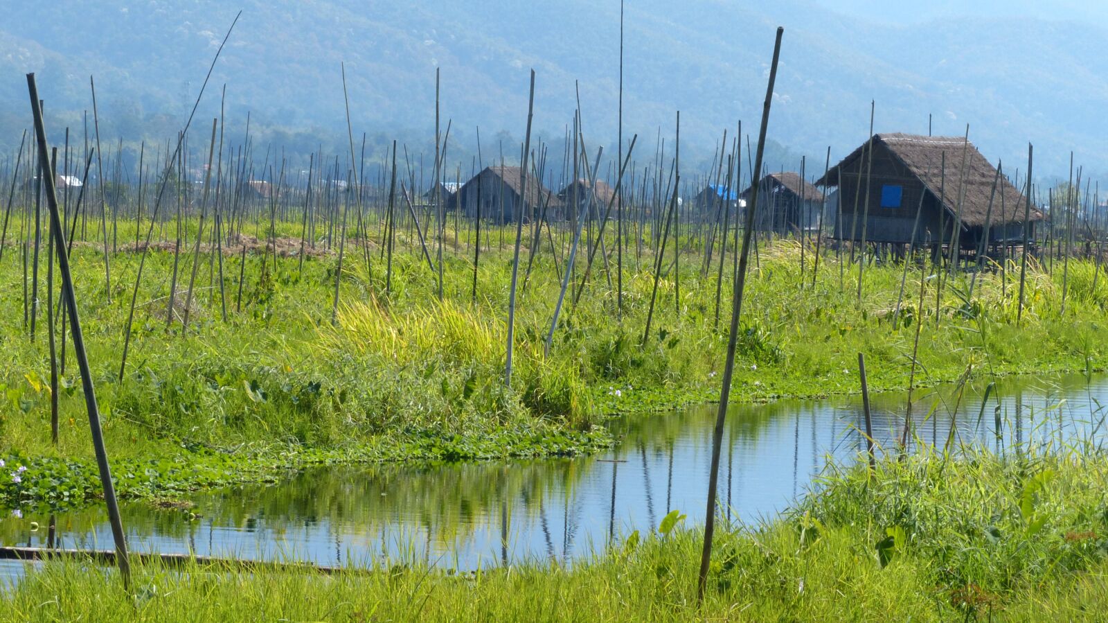 Panasonic Lumix DMC-FZ200 sample photo. Reflection, water, nature photography