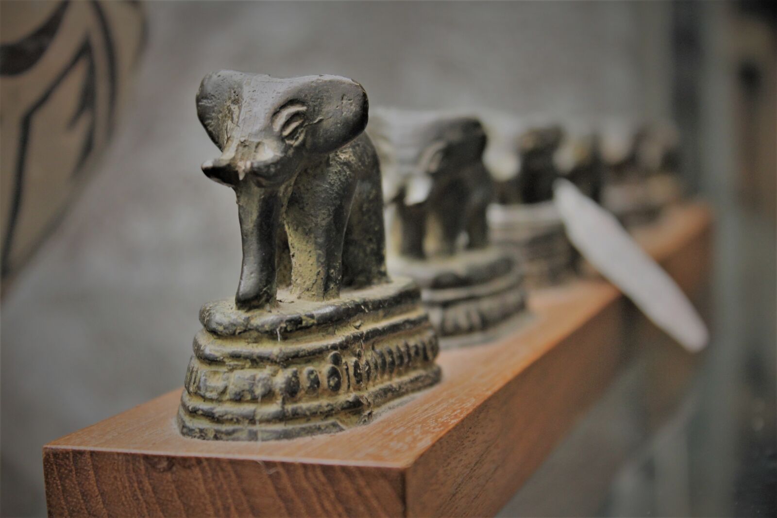 Canon EOS 1100D (EOS Rebel T3 / EOS Kiss X50) sample photo. Elephants, tusk, ivory photography