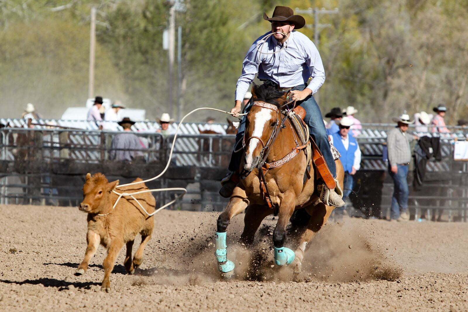 Canon EOS-1D Mark IV + Canon EF 70-200mm F2.8L IS USM sample photo. Rodeo, horse, barrel photography