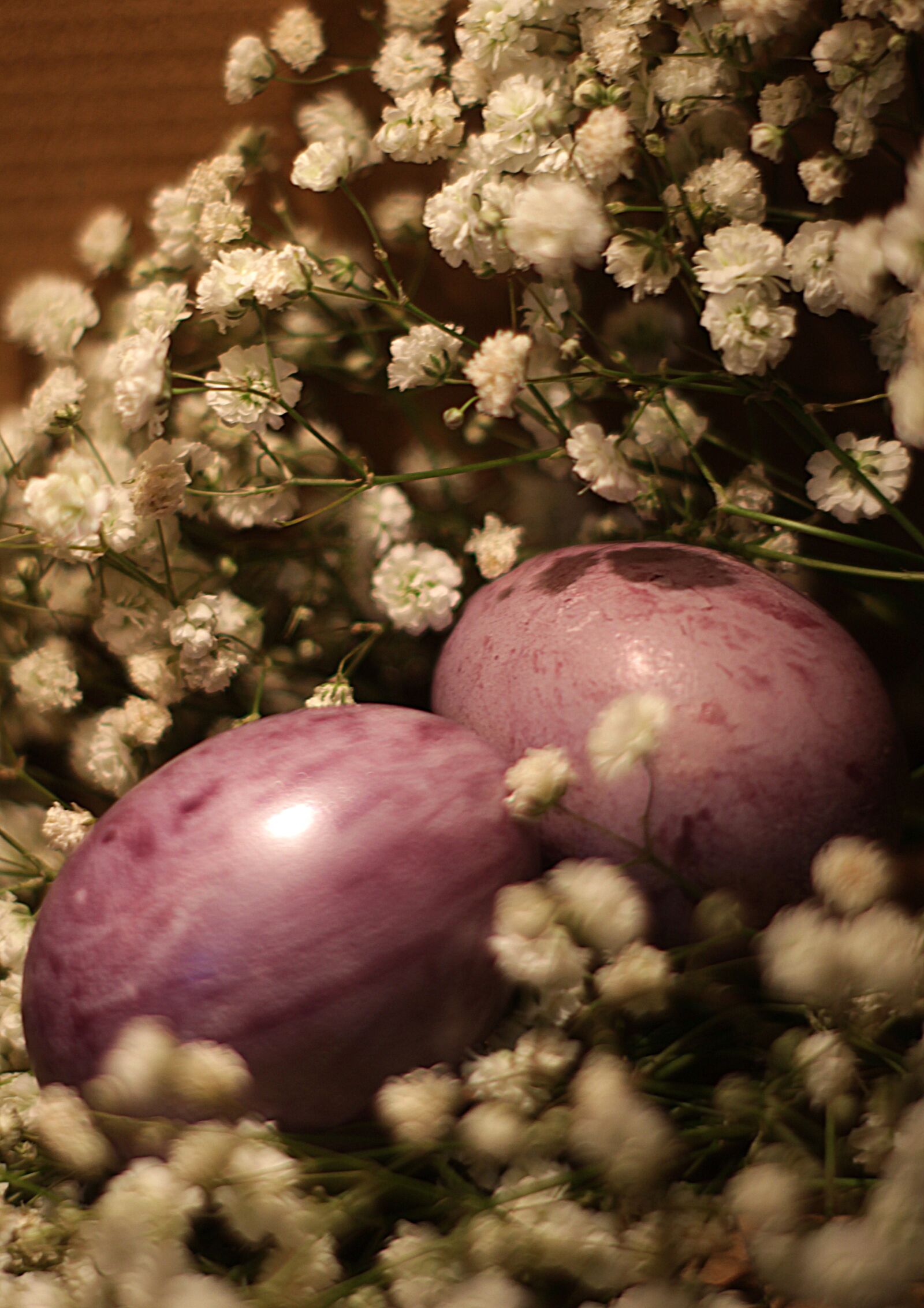 Canon EOS 1200D (EOS Rebel T5 / EOS Kiss X70 / EOS Hi) sample photo. Eggs, painted eggs, easter photography