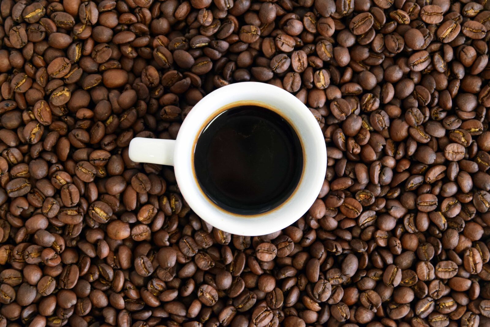 Nikon D3300 sample photo. Bean, cup, drink, espresso photography
