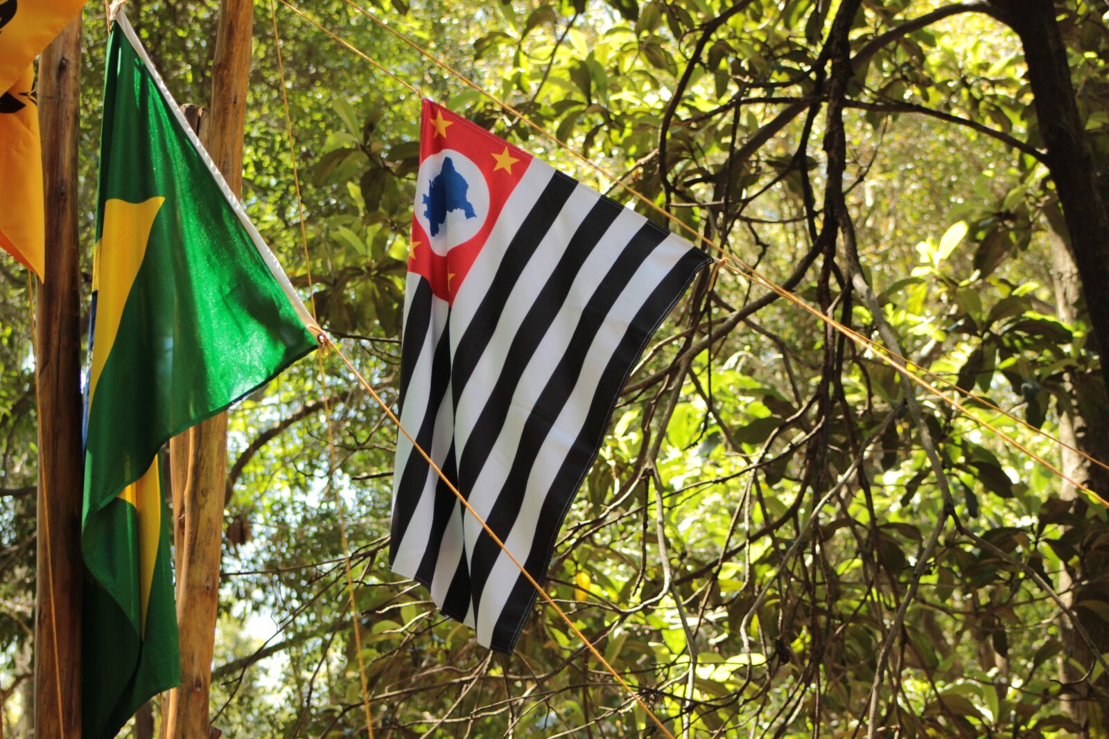 Canon EOS 600D (Rebel EOS T3i / EOS Kiss X5) sample photo. Flag, s o paulo photography