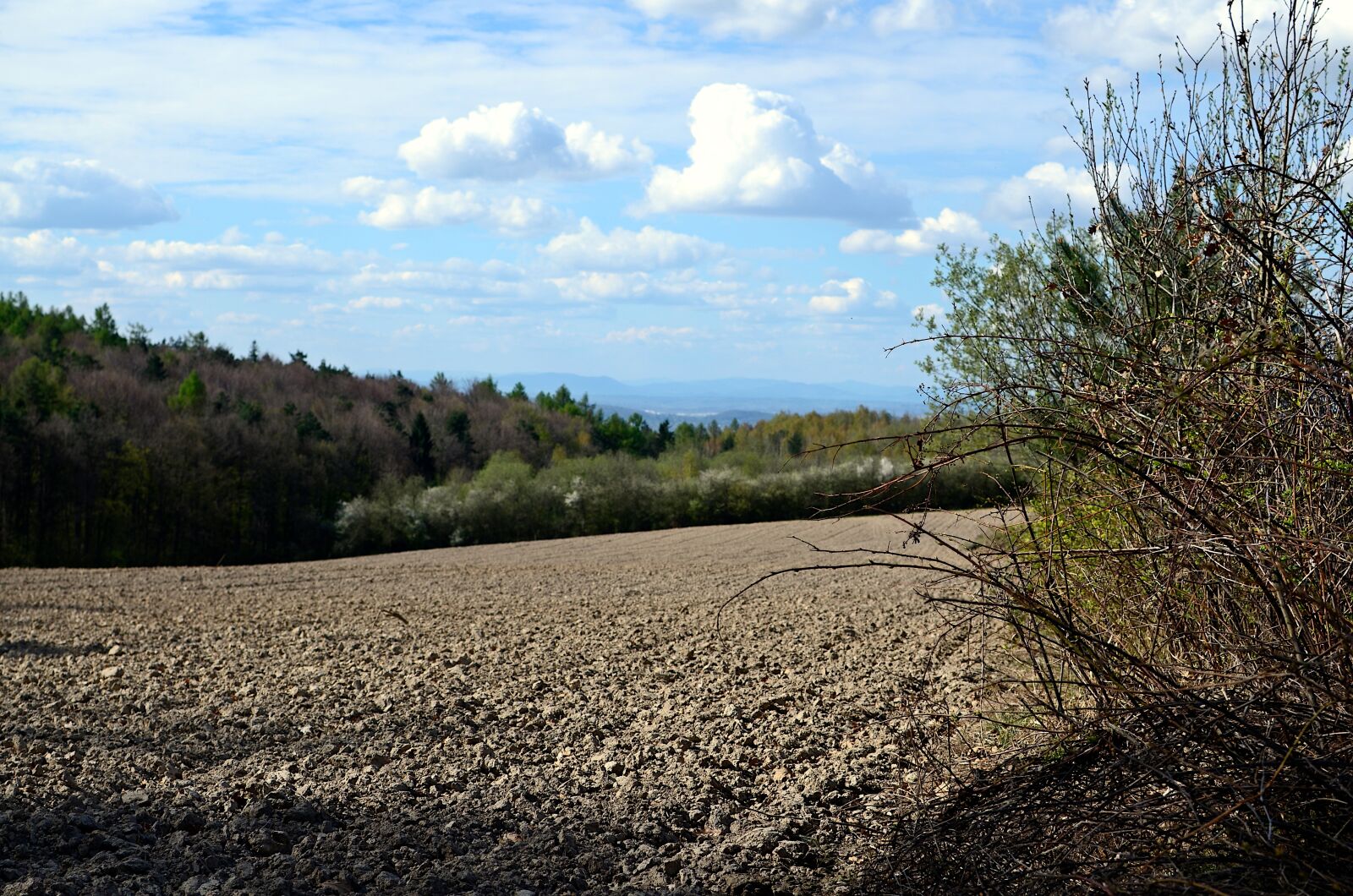 Nikon D7000 sample photo. Field, soil, agriculture photography