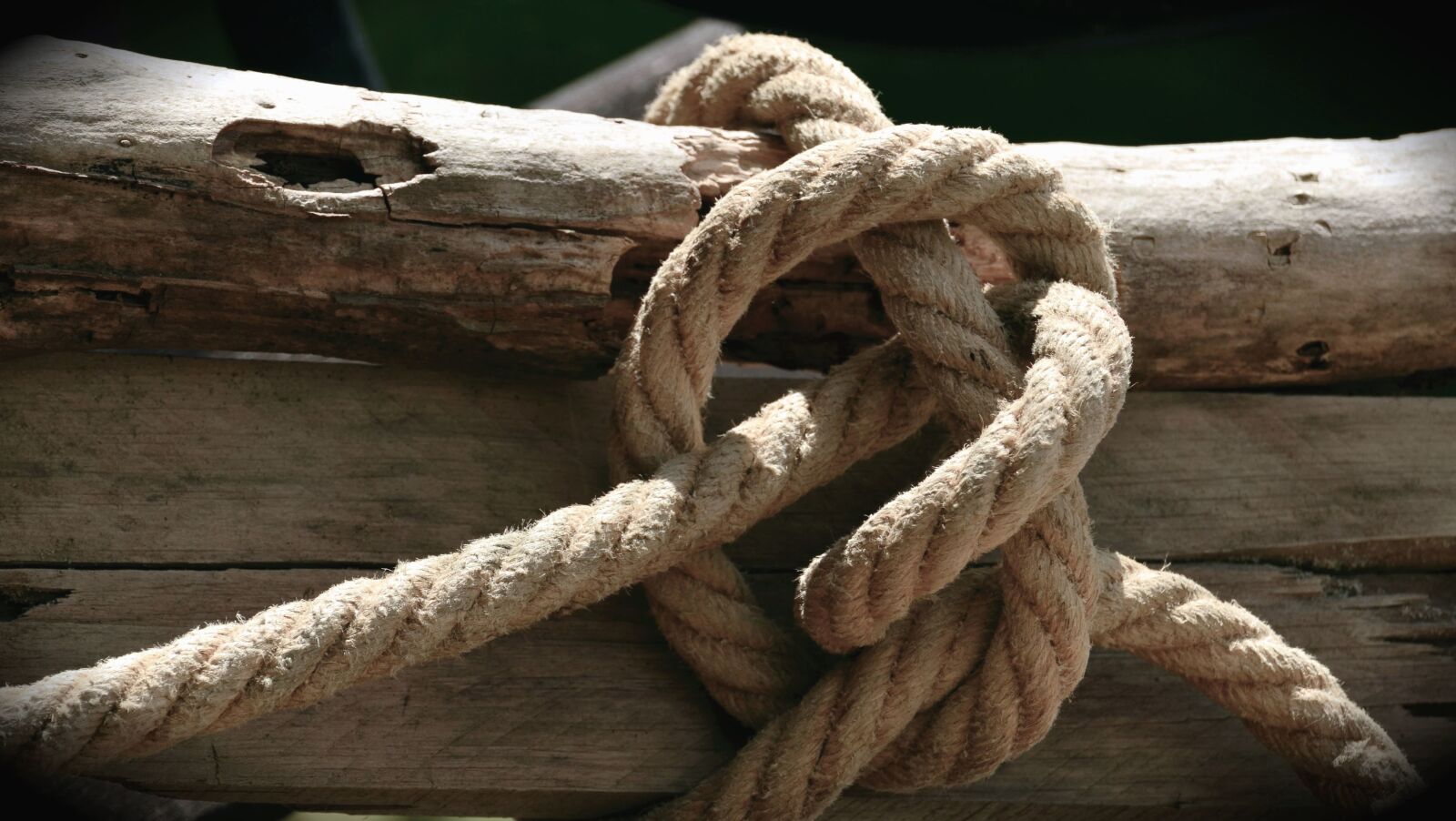Nikon D5100 sample photo. Wood, knot, rope, fence photography