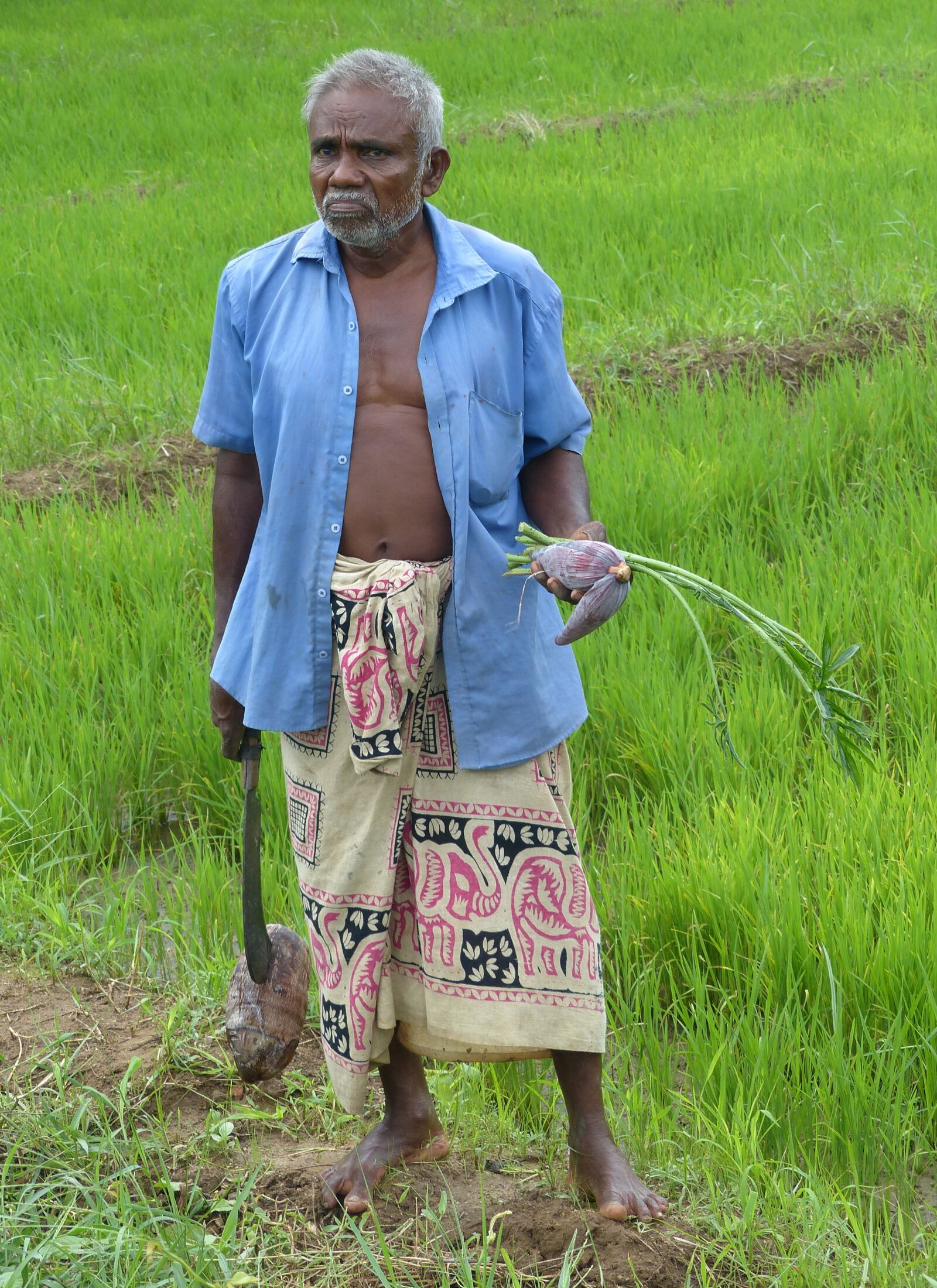 Panasonic Lumix DMC-FZ200 sample photo. Man, sri lanka, portrait photography