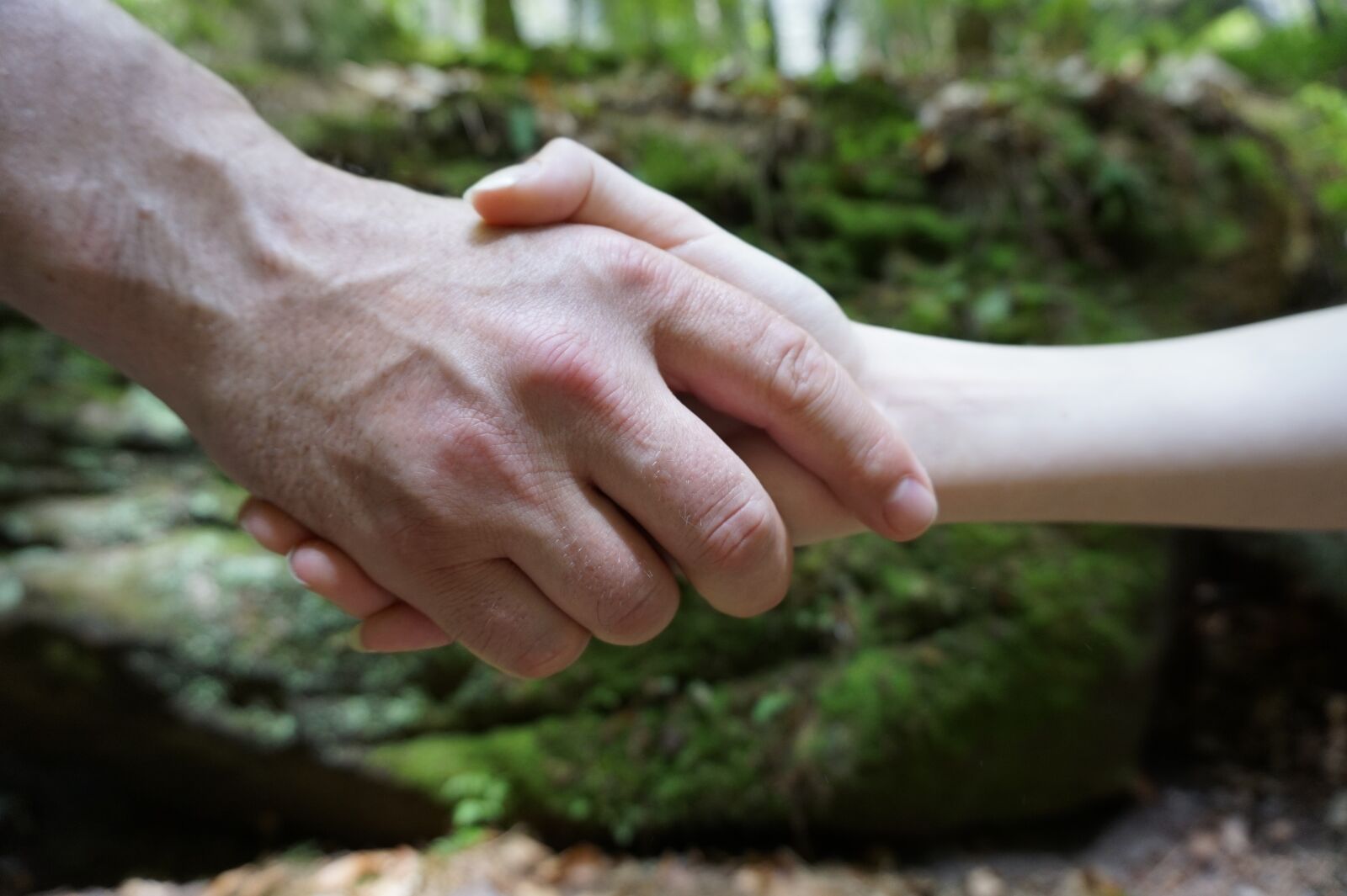 Sony Alpha a5000 (ILCE 5000) sample photo. Hand shake, hand photography