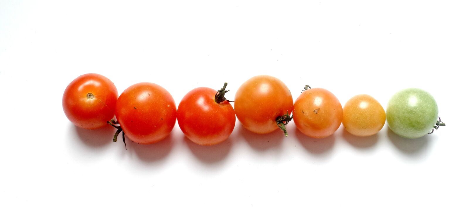 Samsung WB350F/WB351F/WB352F sample photo. Tomatoes, vegetables, red photography