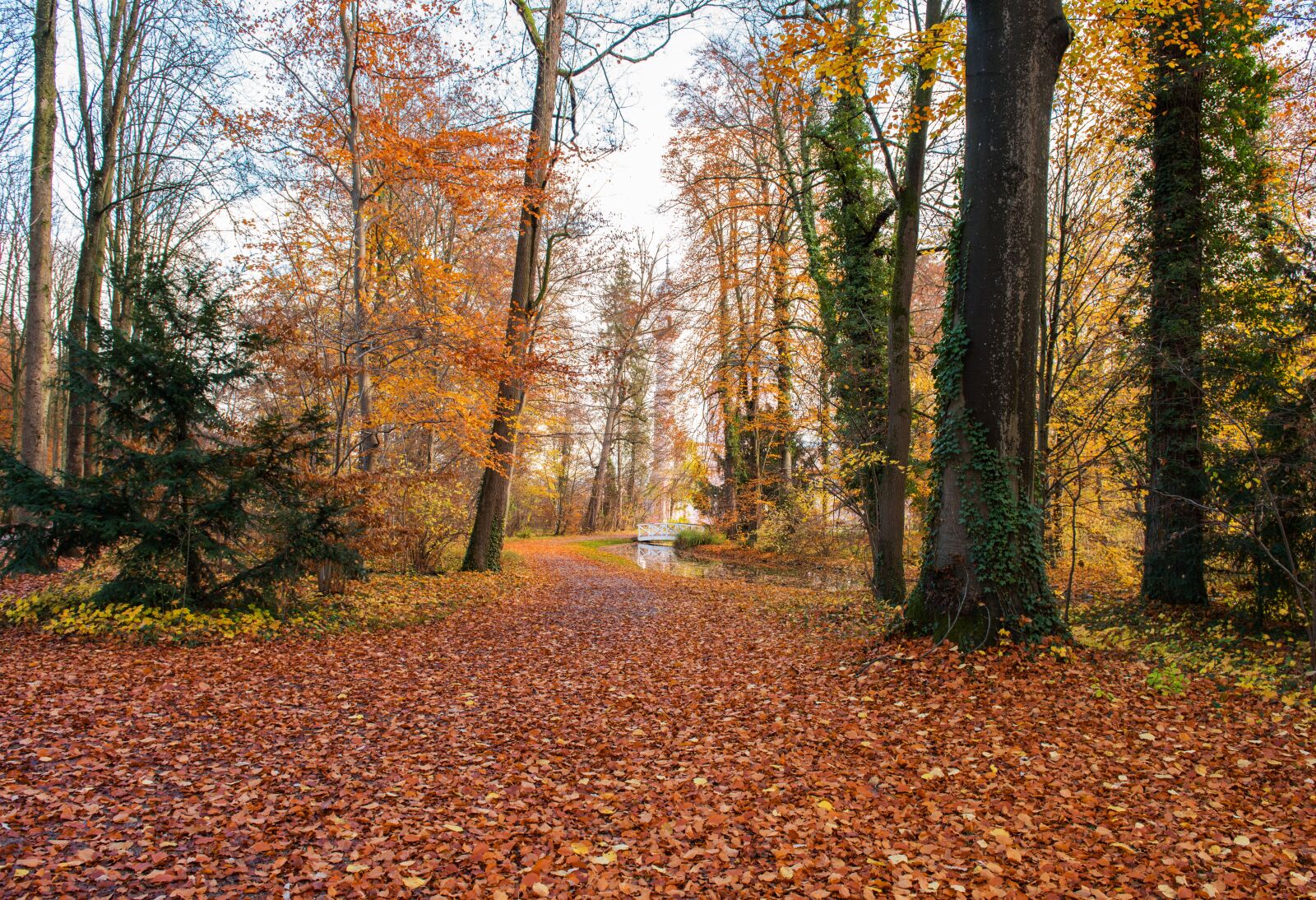Nikon D810 sample photo. Palace, autumn, leaves photography