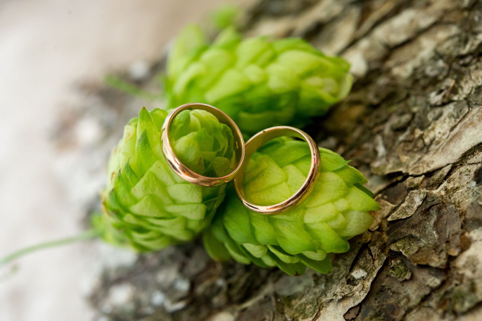 Nikon D3S sample photo. Rings, wedding, engagement photography
