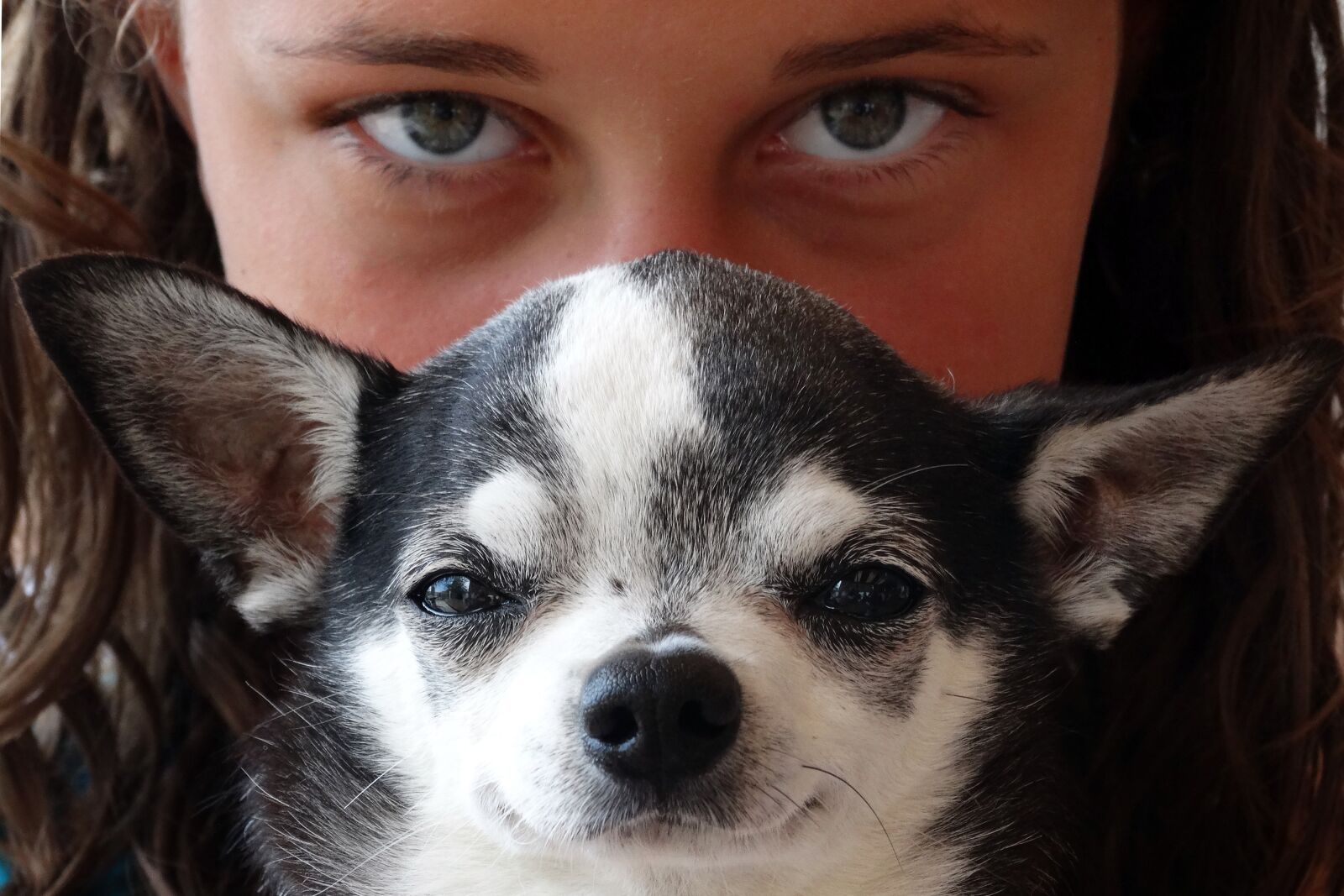 Sony Cyber-shot DSC-HX300 sample photo. Dog, girl, eyes photography