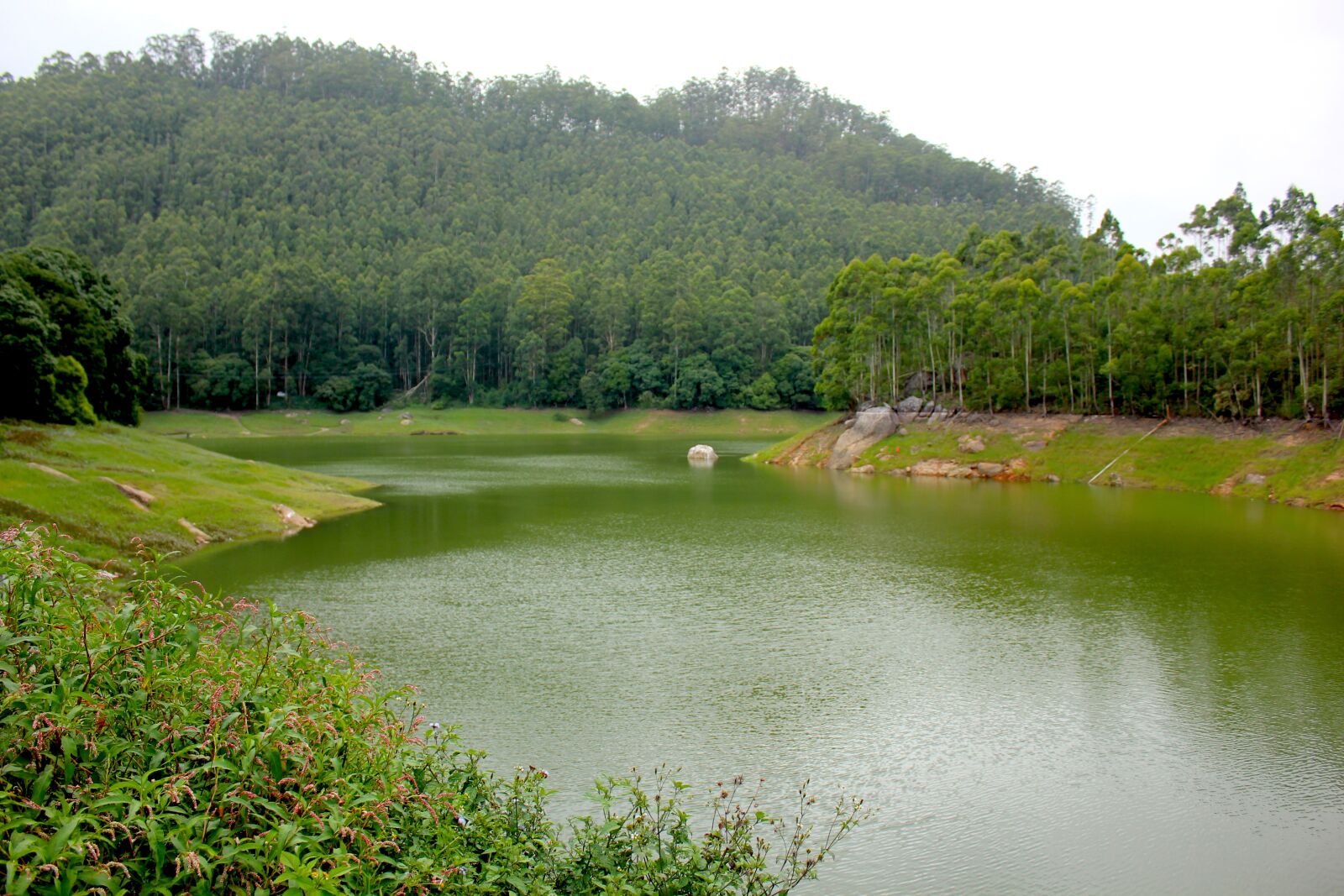 Canon EOS 550D (EOS Rebel T2i / EOS Kiss X4) sample photo. Green, lake, water photography