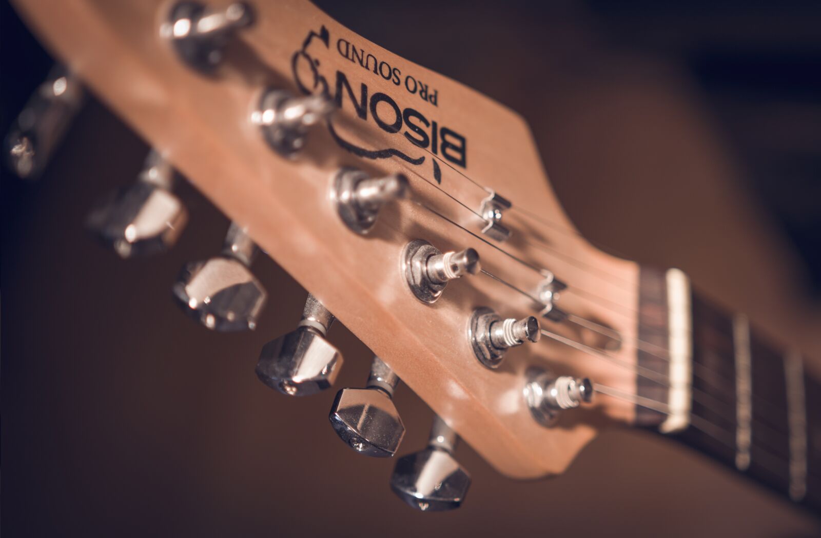 Canon EOS 60D sample photo. Guitar, guitar mechanic, guitar photography
