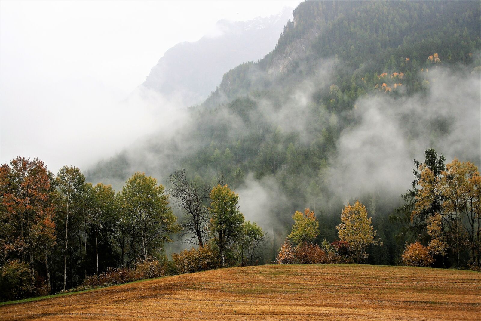 Canon EOS 400D (EOS Digital Rebel XTi / EOS Kiss Digital X) sample photo. Fall mountains, tops, peace photography