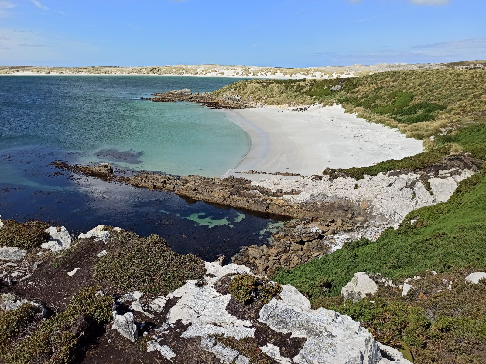 Xiaomi Redmi Note 8 Pro sample photo. Falklands, beach, sea photography