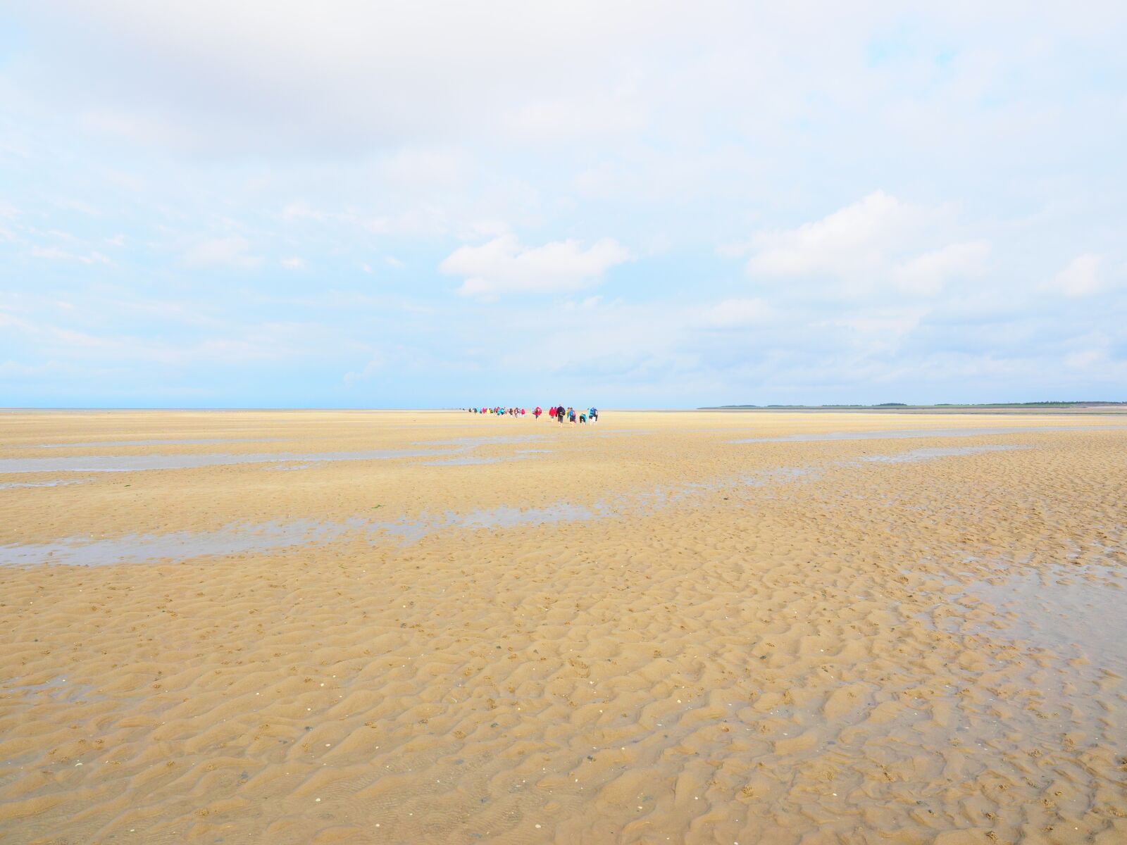 Olympus OM-D E-M1 + Olympus M.Zuiko Digital ED 12-40mm F2.8 Pro sample photo. Watts, wadden sea, dunes photography