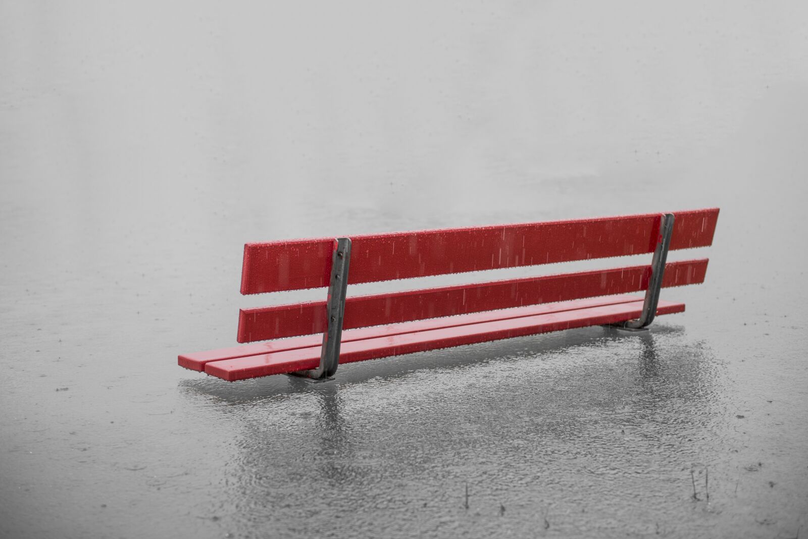 Nikon D750 sample photo. Rain, lake, high water photography