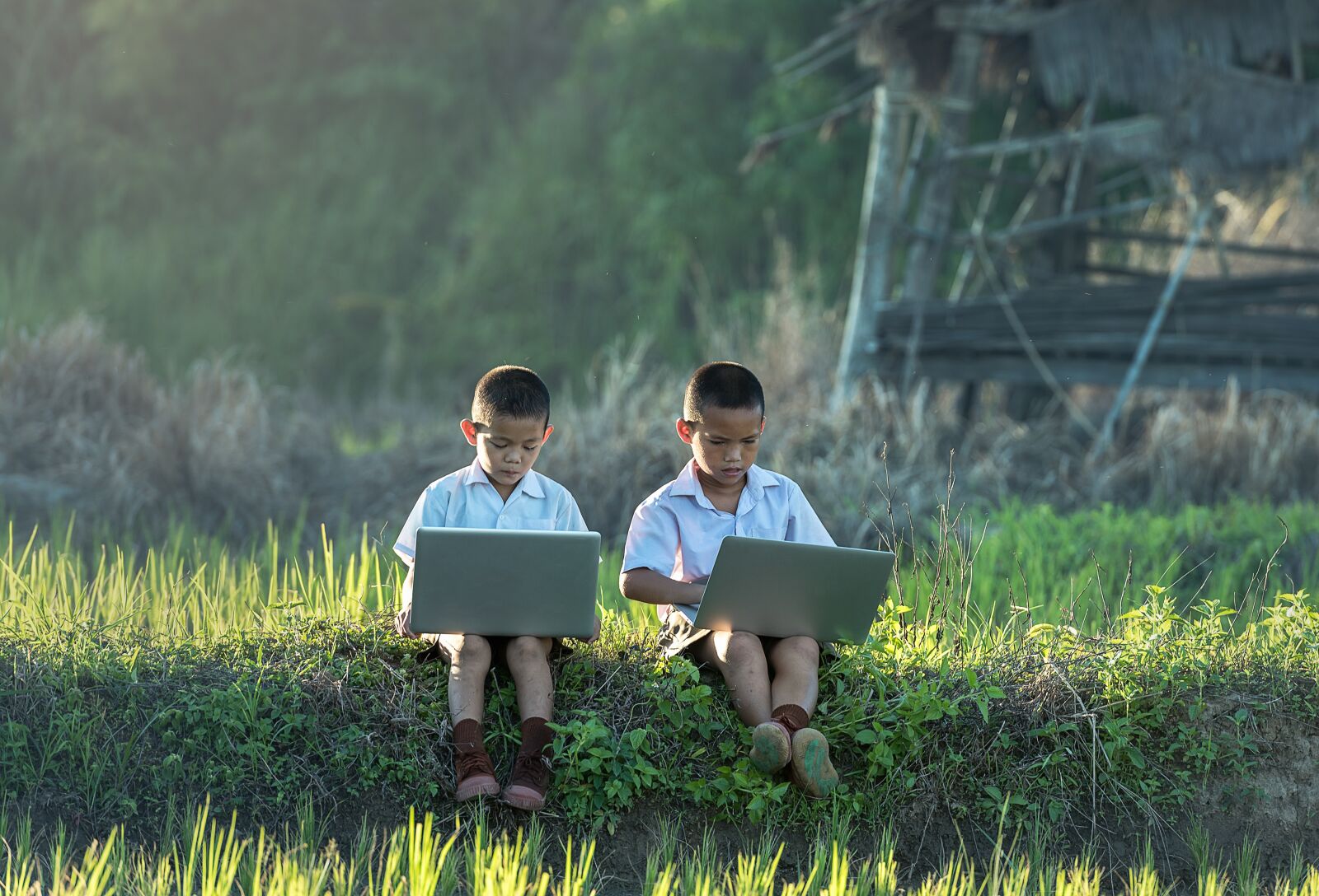 Nikon D810 sample photo. Children, study of, laptop photography