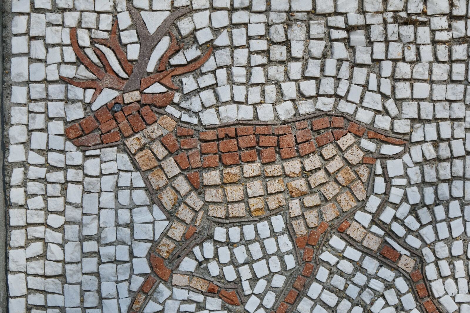 Nikon D5500 sample photo. Artistic, deer, mosaic, wall photography