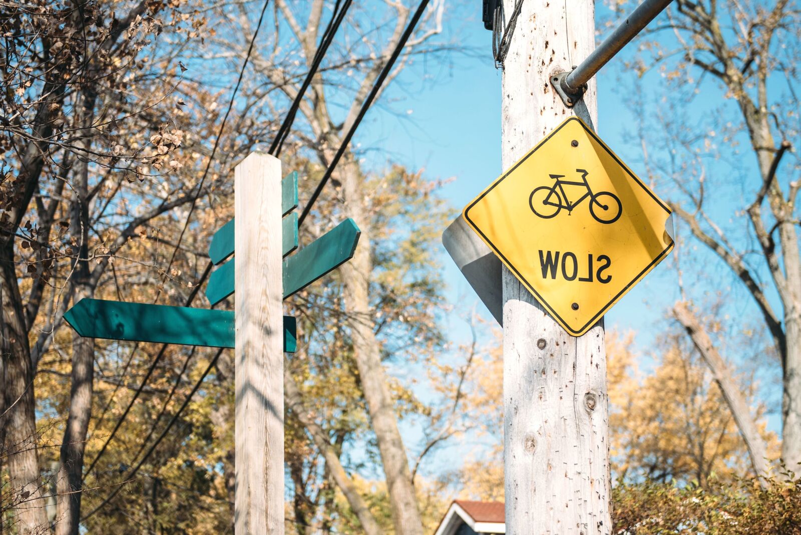 Nikon D750 sample photo. Signs, traffic sign, leaves photography