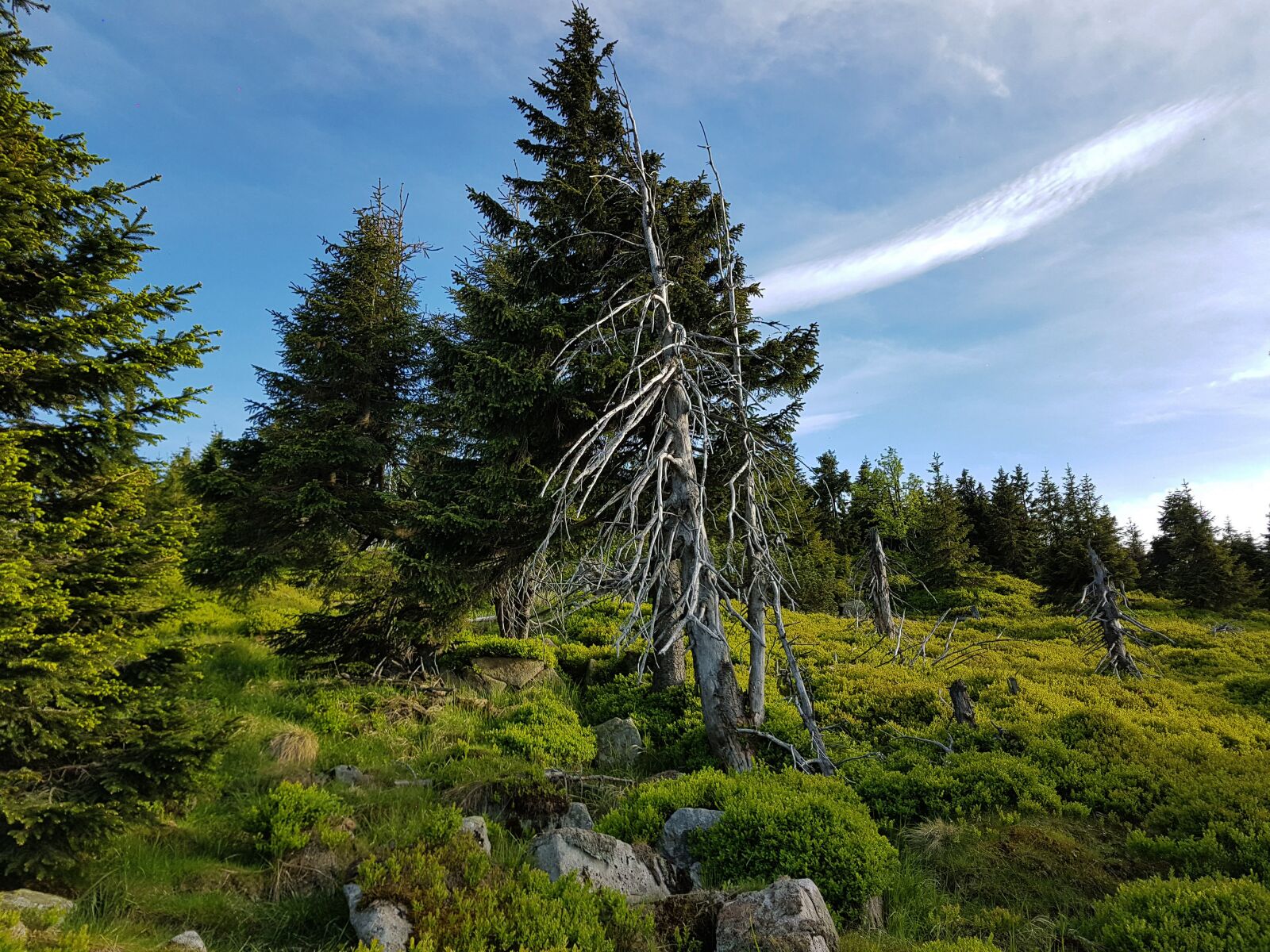 Samsung Galaxy S7 Edge sample photo. Krkono e giant mountains photography