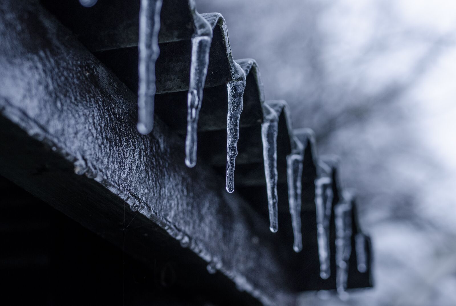Nikon D7000 sample photo. Icicle, ice, winter photography
