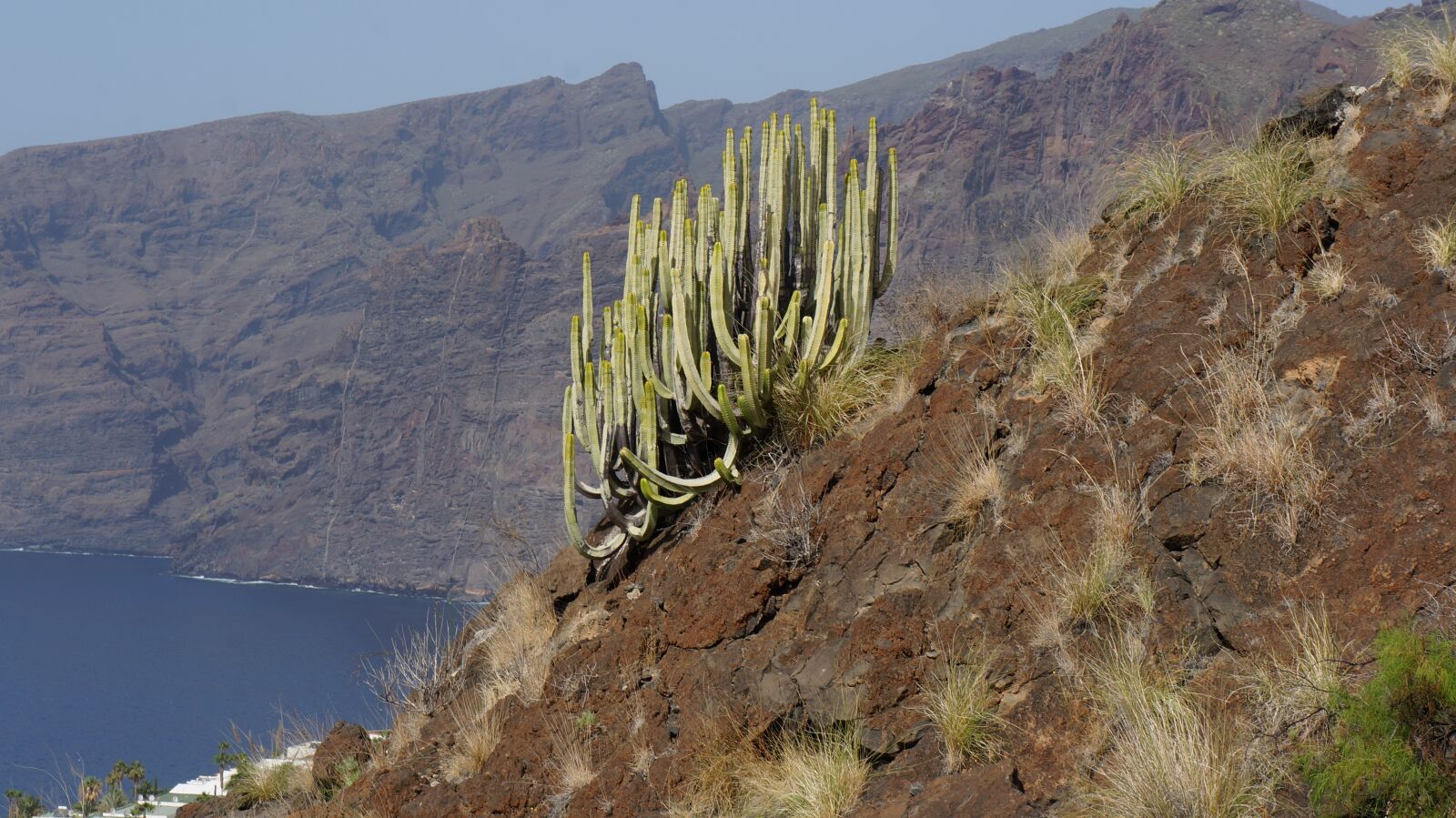 Sony Alpha NEX-5R sample photo. Tenerife, coast, canary islands photography