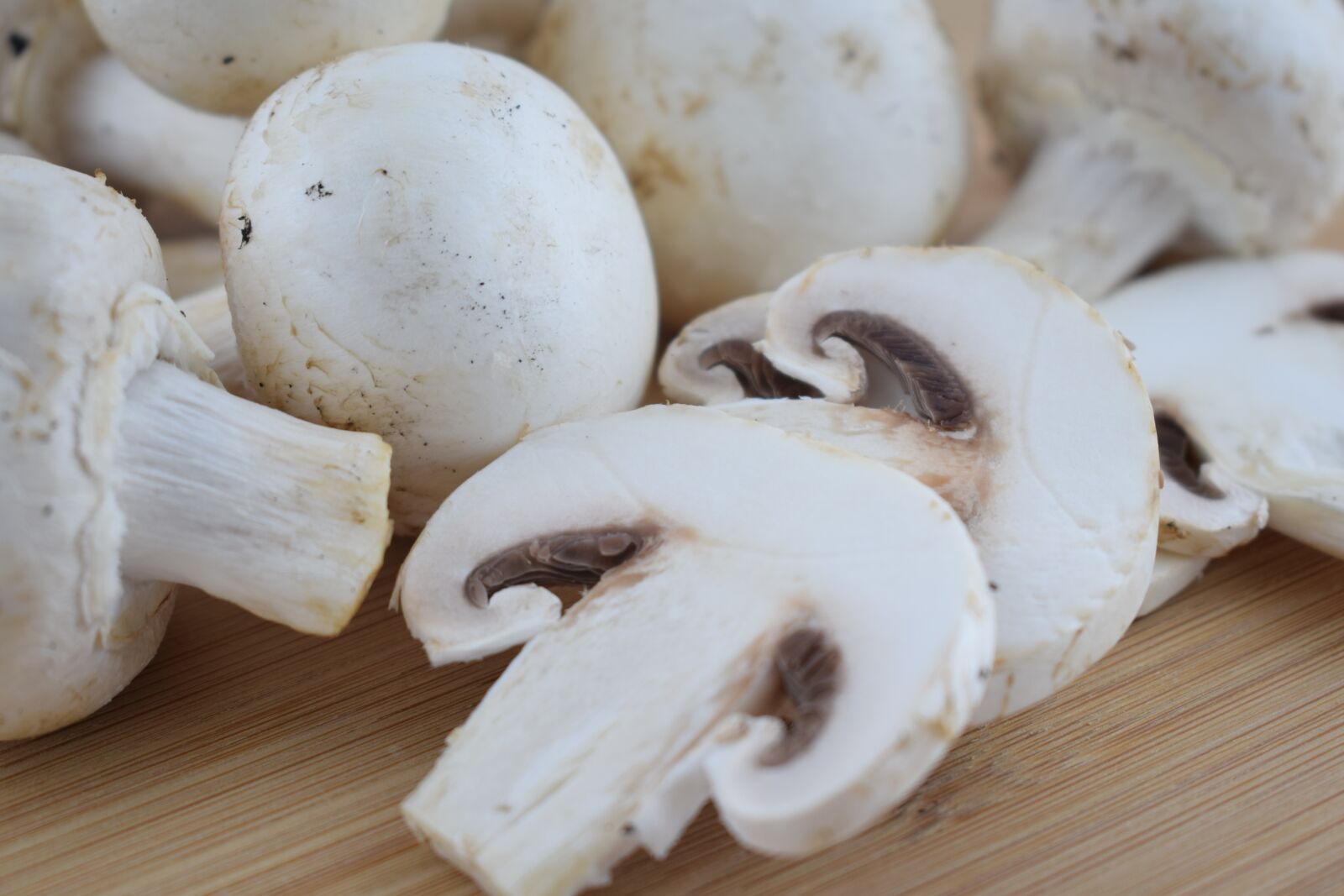 Nikon D3300 sample photo. Mushroom, food, fungus photography