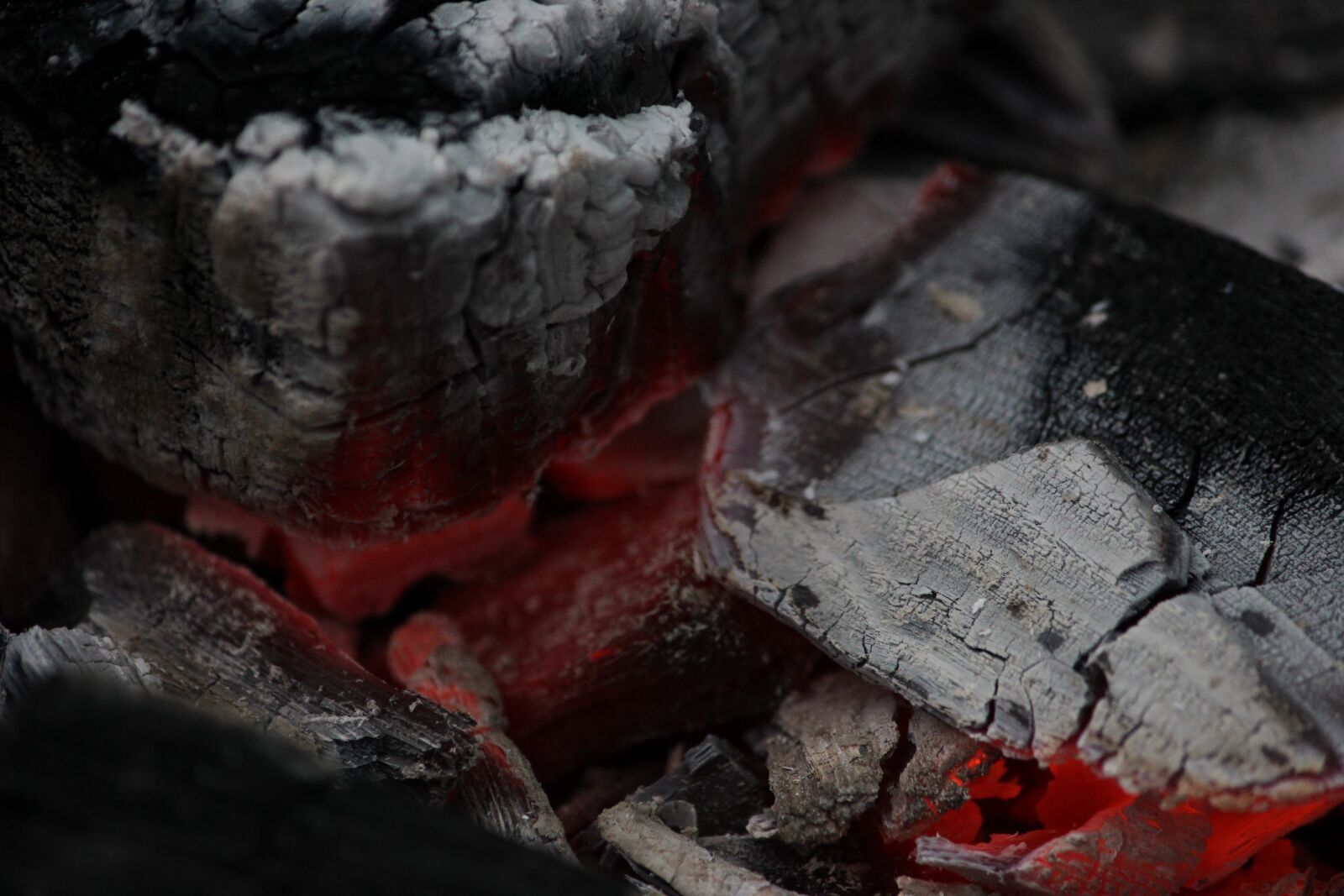 Canon EOS 600D (Rebel EOS T3i / EOS Kiss X5) sample photo. Fire, coals, macro photography