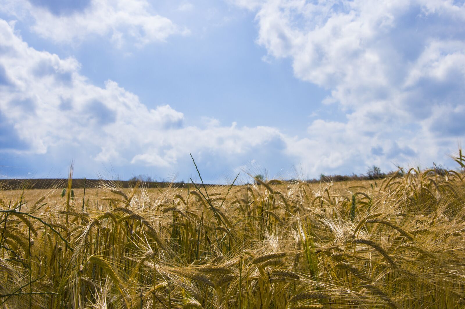 Nikon D90 sample photo. Nature, landscape, natural turkey photography