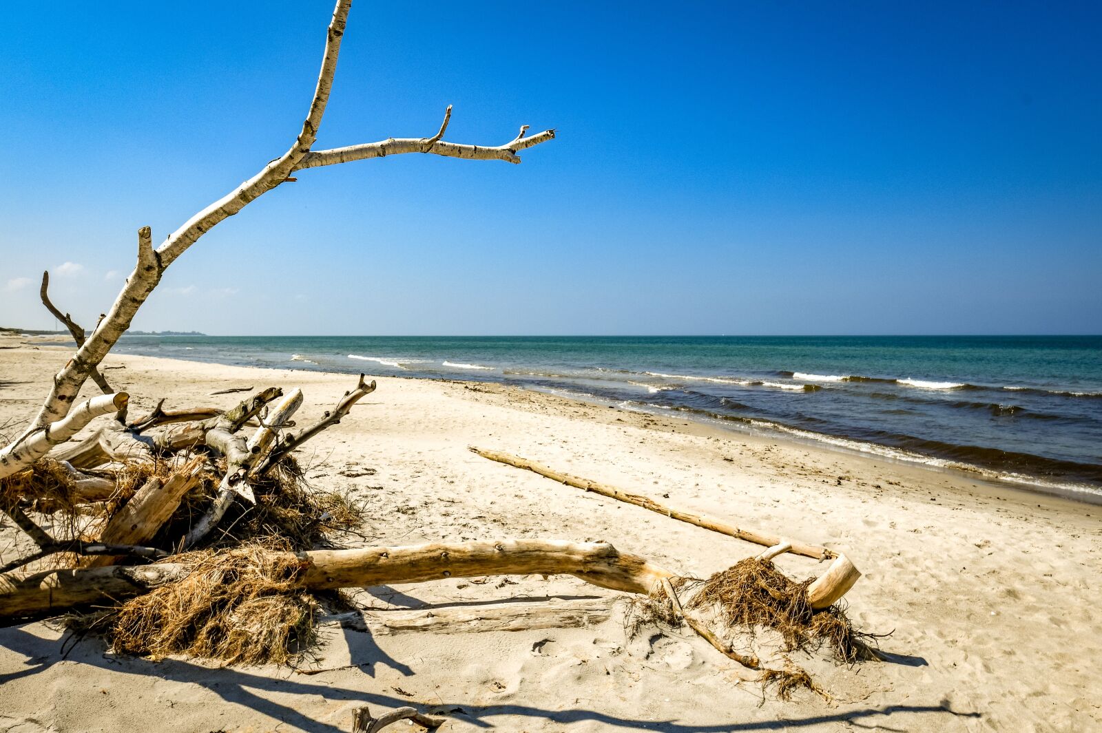 Nikon D850 sample photo. Beach, of course, sea photography