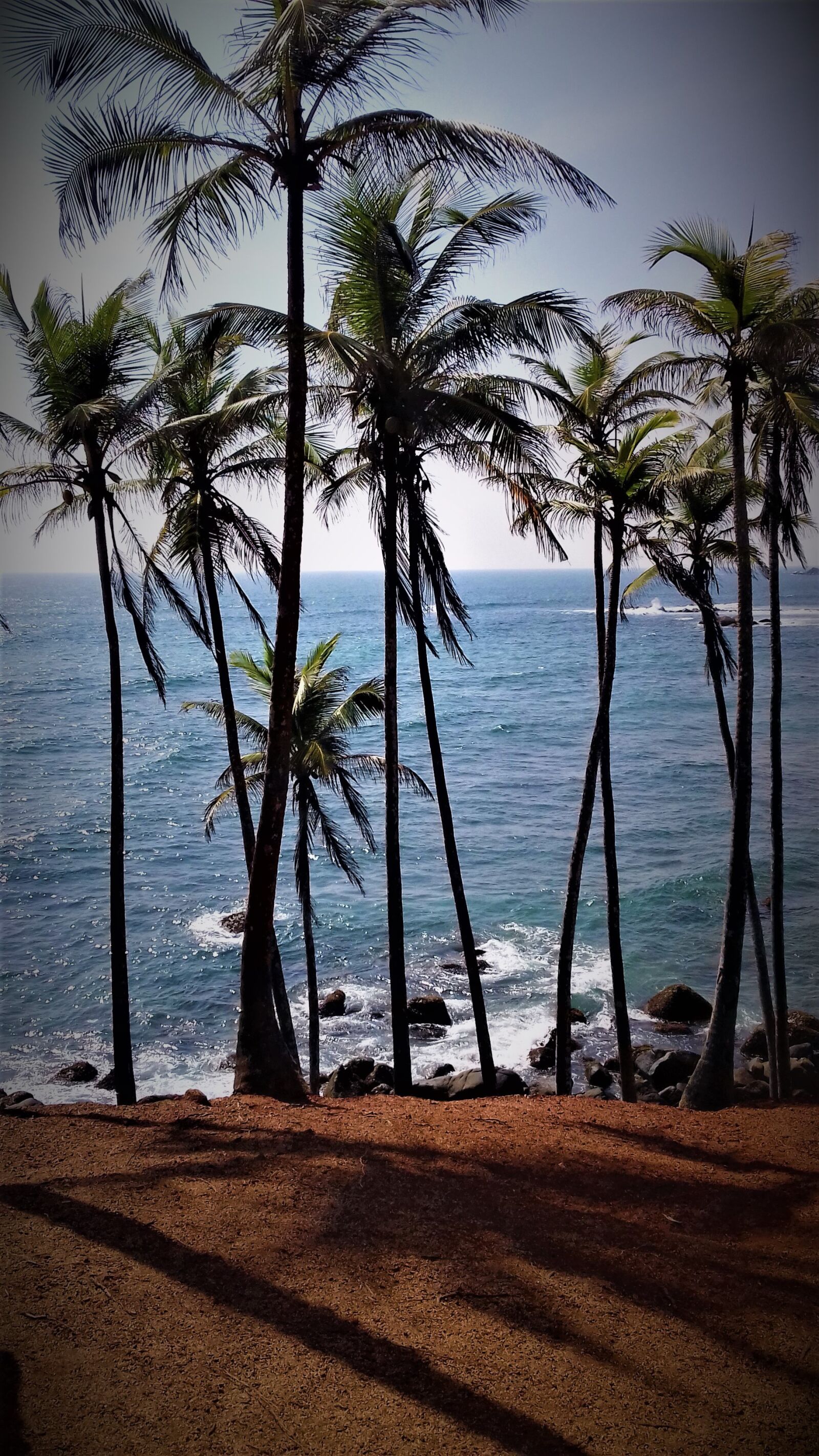 Samsung Galaxy J3(2016) sample photo. Srilanka, sea, palm trees photography
