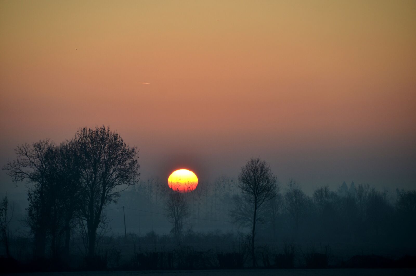 Nikon D7000 sample photo. Sun, morning, winter photography