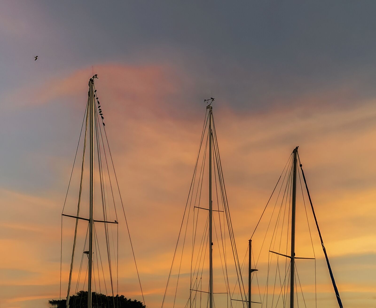 Apple iPhone XS sample photo. Sky, sunrise, sunset photography