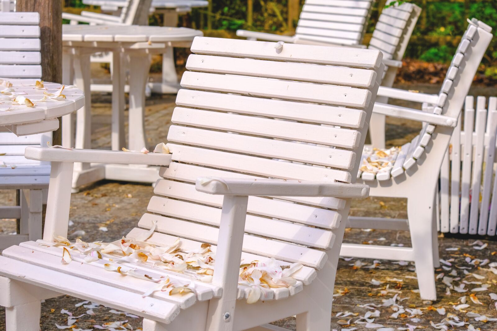 Fujifilm X-T3 sample photo. Petals, chair, garden photography