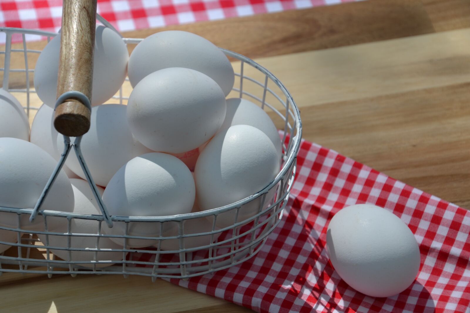 Nikon D3100 sample photo. Egg, white, hen's egg photography