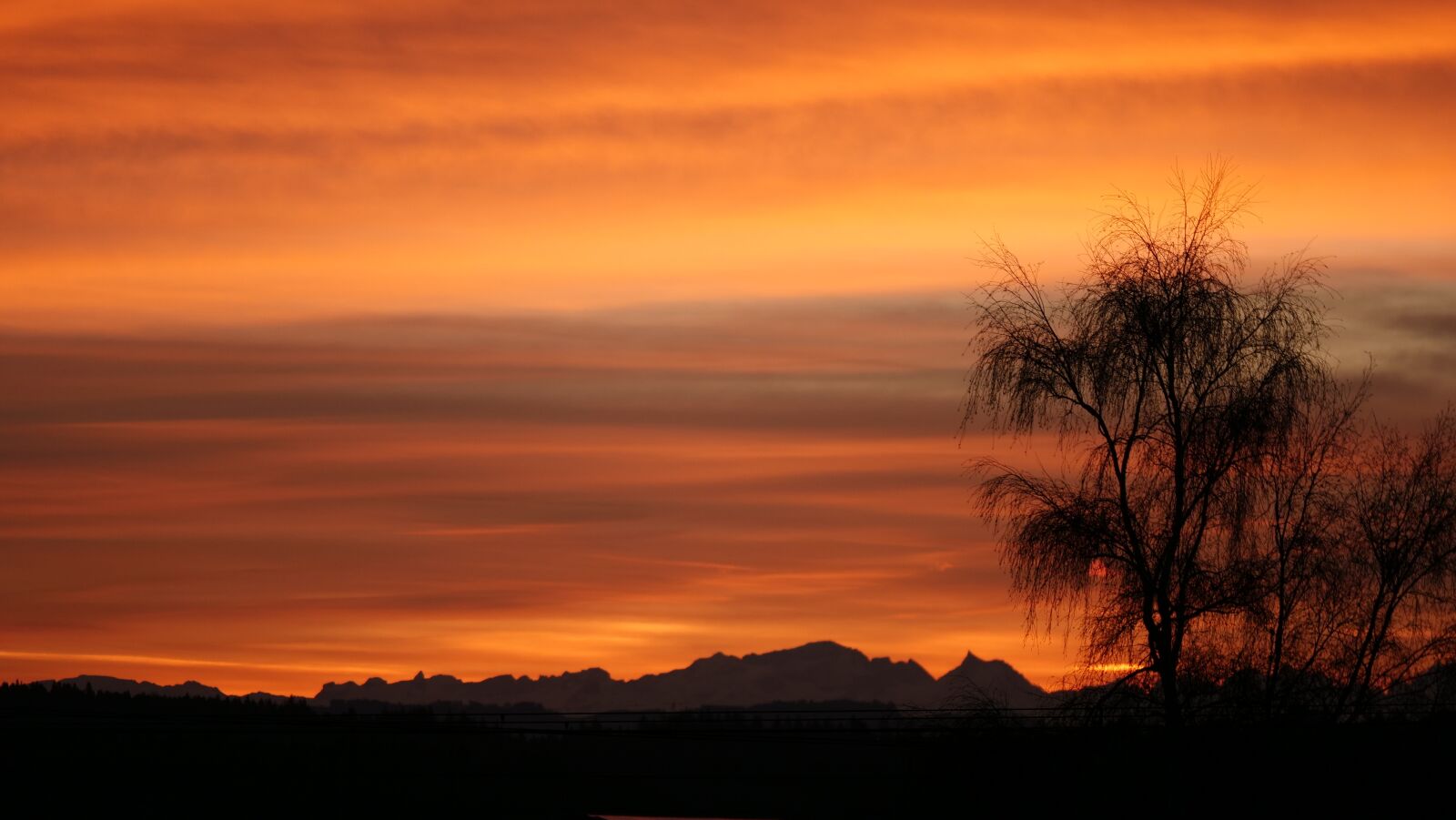 Panasonic Lumix DC-GH5 sample photo. Sunset, dawn, nature photography