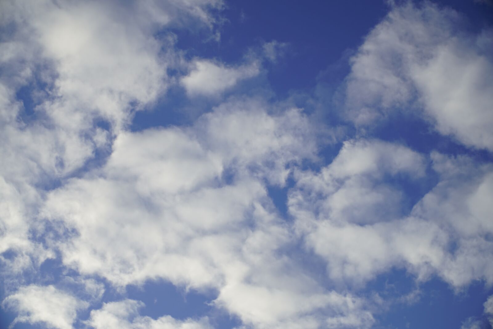 Sony a7R II + Sony E PZ 18-105mm F4 G OSS sample photo. Blue, white, sky photography