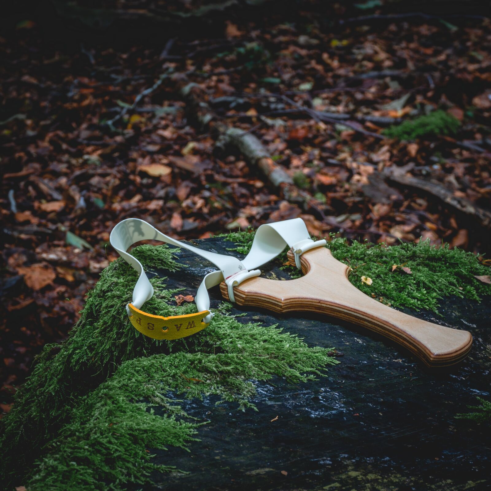 Sony a6000 sample photo. Slingshot, forest, catapult photography