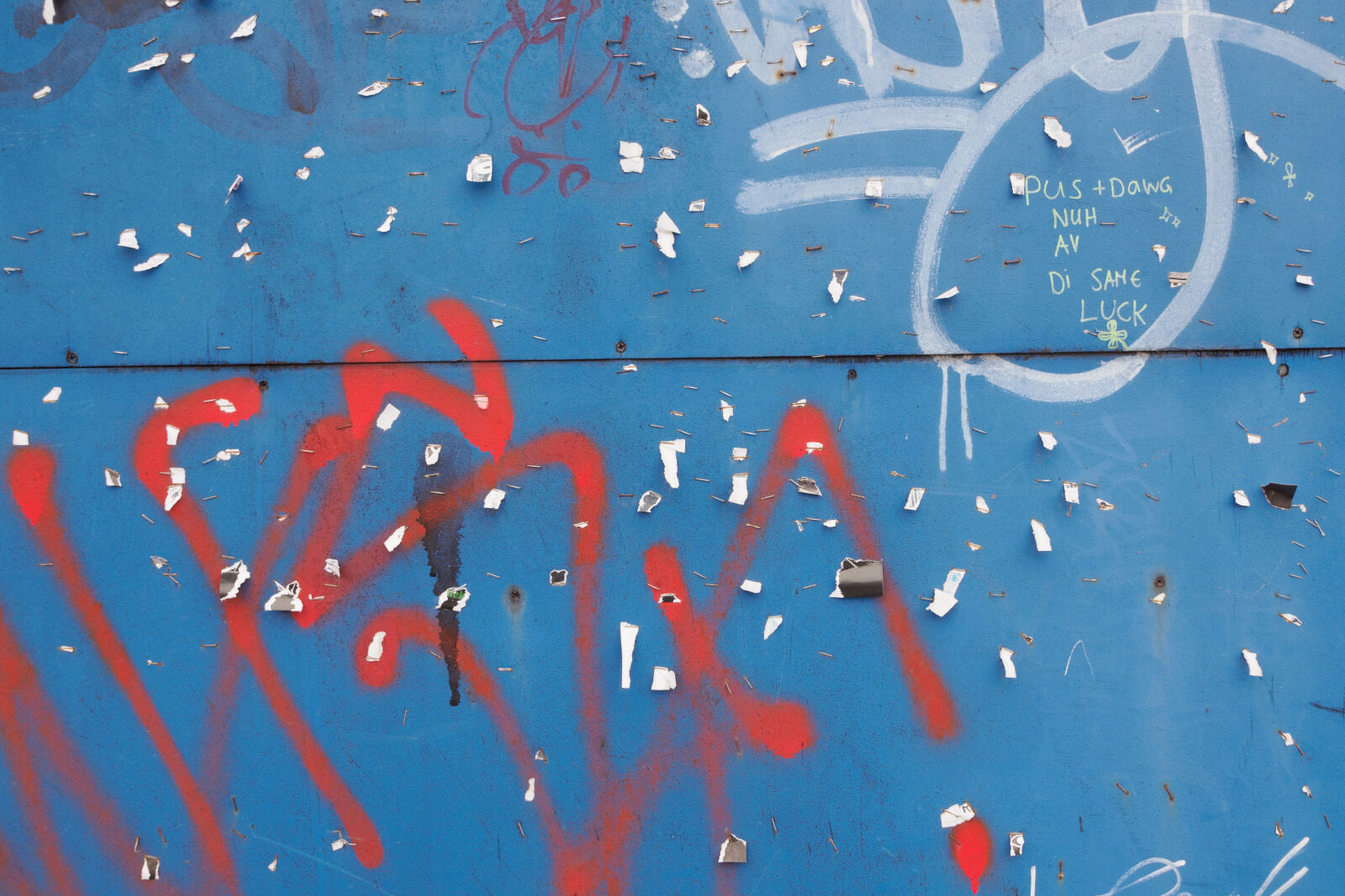 OM System OM-1 Mark II sample photo. Blue and red photography