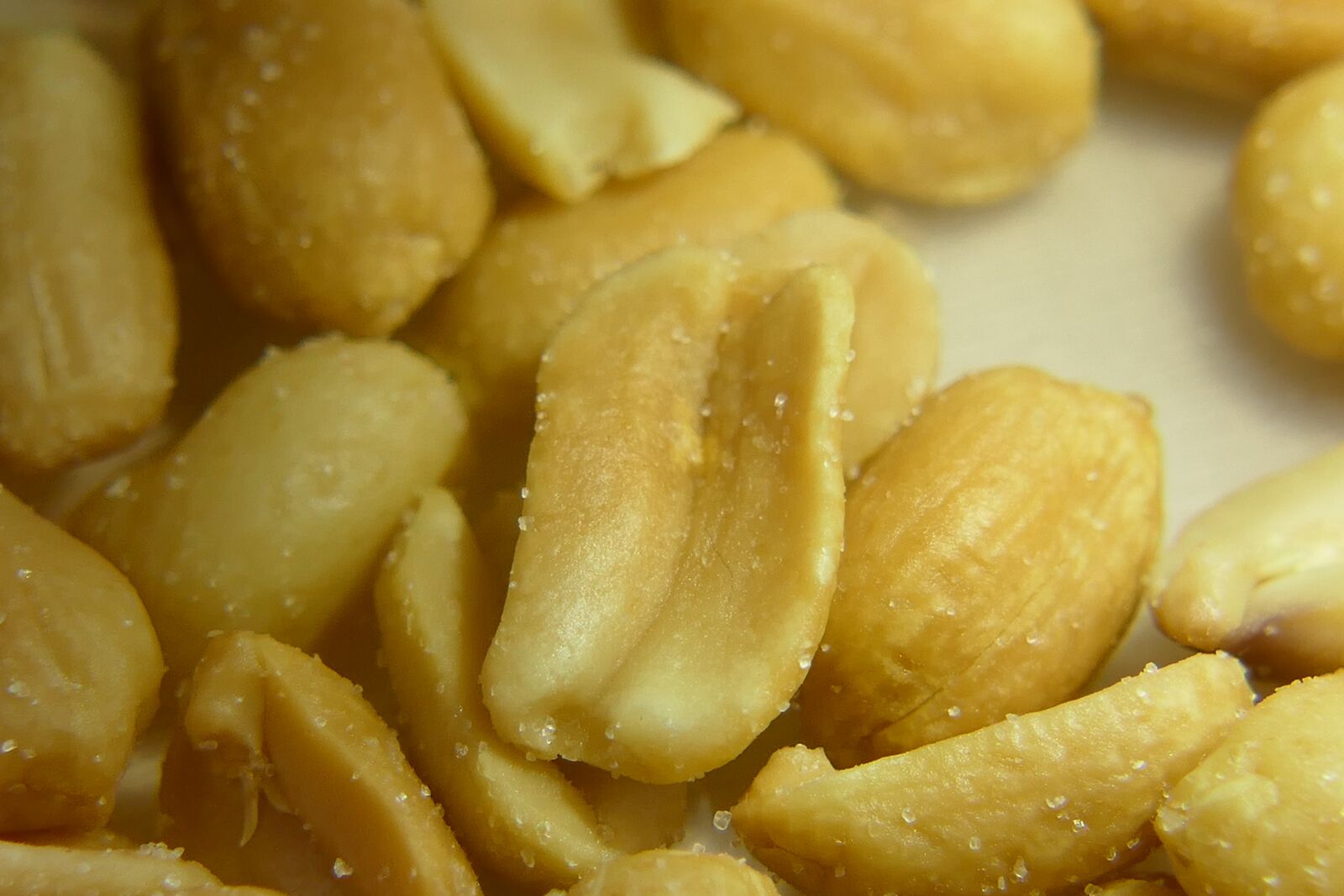Panasonic Lumix DMC-FZ1000 sample photo. Peanuts, peanut, nuts photography