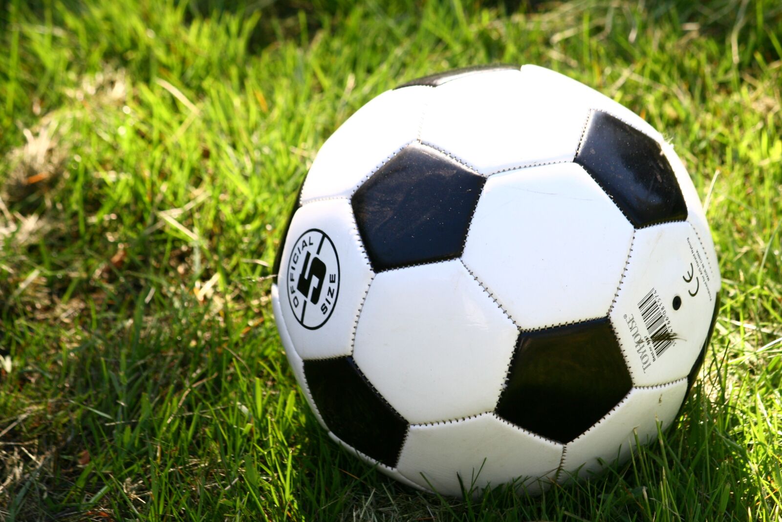 Canon EOS 400D (EOS Digital Rebel XTi / EOS Kiss Digital X) sample photo. Football, grass, play photography